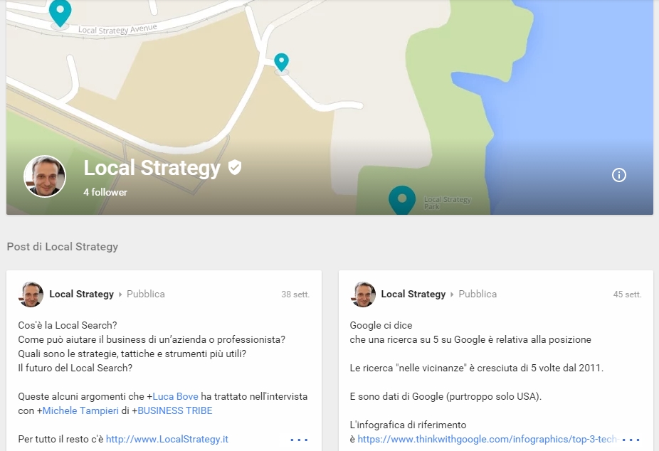 Screenshot Home Local Strategy